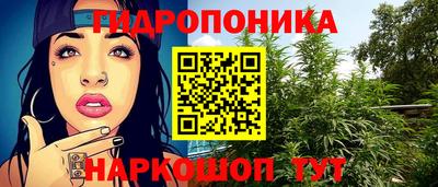 винт Сланцы