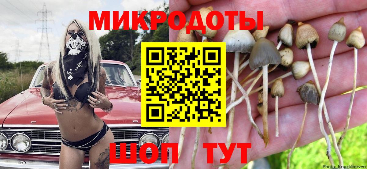 Галлюциногенные грибы Psilocybe  Вход с VPN  Ярцево 